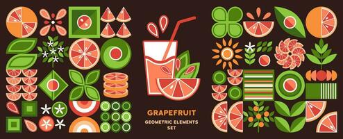 Set of geometric elements, logo with grapefruit vector