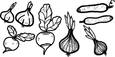 un dibujo de varios vegetales y vegetales vector