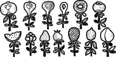 Stylized fruits and berries on stems in doodle style. Graphic arts. Vector element for design, set, collection.