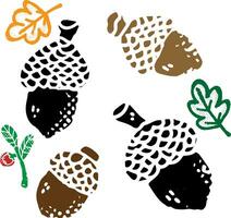 acorns and leaves are shown in different colors vector