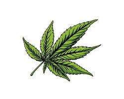 pulcro y sencillo vector ilustración de un hierba hoja, Perfecto para logos y iconos un limpio, minimalista diseño para relacionado con el cannabis negocios