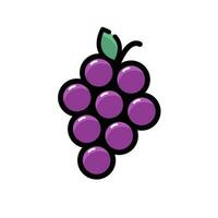 Grape icon, logo vector, flat design vector