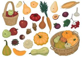 Cartoon clipart set of autumn vegetables and fruits. Doodles of fall harvest. Modern vector illustrations collection isolated on white background.