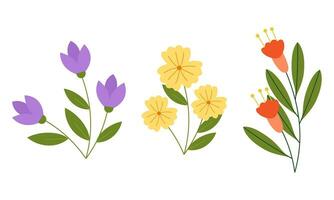 Organic flat spring flower collection vector