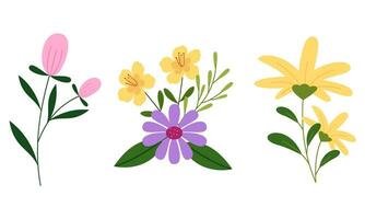 Organic flat spring flower collection vector