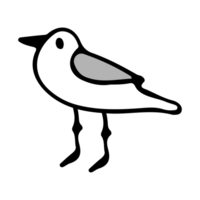 strand kort vogel illustratie png