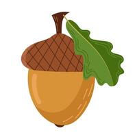 Vector illustration of an acorn on a white background. Autumn.