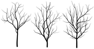 Set of Deciduous Bare Tree Silhouette vector