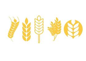 Wheat icon design template vector isolated illustration