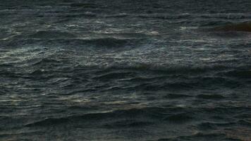 ondulado mar com ondulação cristas video