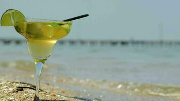 zetten limoen plak Aan glas van cocktail door zee video