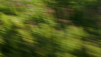 Visualizza di passaggio verde alberi a partire dal un' alto velocità treno video