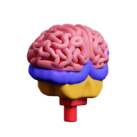 brain 3d icon illustration png