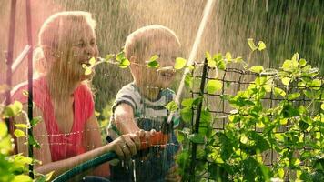 madre Ayudar hijo a agua el jardín con manguera video