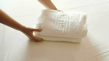 limpar \ limpo toalhas com Oliva galhos em cama video