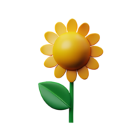 sunflower 3d icon illustration png