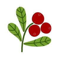 Wild berries cranberry with green leaves. Cartoon vector illustration on white background