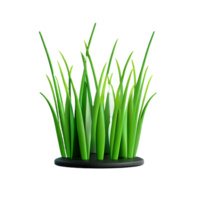 grass 3d icon illustration png