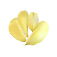 durian The fruit is delicious, yellow durian fruit on a white background, vector illustration