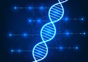 Medical technology Circuit lines connected to DNA It represents the use of technology in medicine that shows DNA information. to bring information to research and think of medicines to treat patients vector