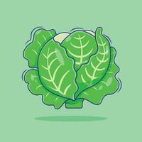 Flat vector cartoon of cabbage illustration isolated