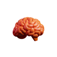 brain 3d icon illustration png