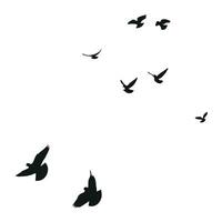 Silhouette sketch of a flock of flying birds, flight in different positions. Hover, soaring, landing, flying, flutter vector