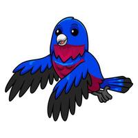 Cute banded cotinga bird cartoon flying vector