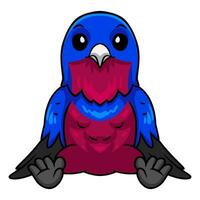 Cute banded cotinga bird cartoon vector