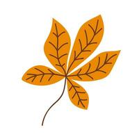 Vector autumn leaves in flat style. Chestnut leaf.  Autumn leaves. Leaf on white isolated background. Object on fall theme.