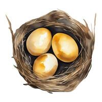 dorado huevos en el nido parte superior ver aislado mano dibujado acuarela pintura ilustración vector