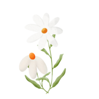 Imágenes Prediseñadas de la flor de la Margarita png