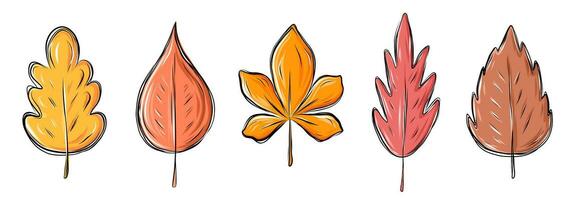 Set with doodle autumn leaves vector