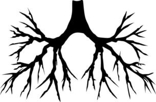 Silhouette of the root system on a white background vector