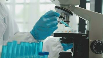 Health care researchers working in life science laboratory. Young female research scientist and senior male supervisor preparing and analyzing microscope slides in research lab. video