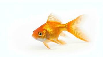 A gold fish isolated on a white background. Generative Ai photo