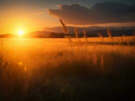 un asombroso puesta de sol en el campo a oscuridad, ai generativo foto