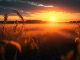 un asombroso puesta de sol en el campo a oscuridad, ai generativo foto