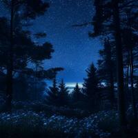 Mystical Moonlit Forest  Serene Nature Night Background, Ai Generative photo