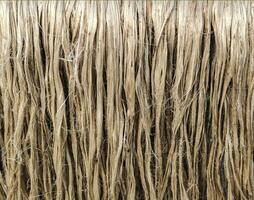 a close up photo of jute fiber Closeup shot, raw jute fiber hanging under the sun for natural drying
