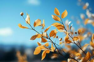 tranquilo otoño escena, árbol hojas en contra el fondo de un azul cielo ai generado foto