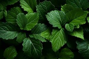 Captivating top view of textured green leaves, a natures wonder AI Generated photo