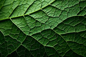 texture