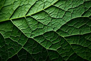 Exquisite leaf textures create a stunning greenery top view AI Generated photo