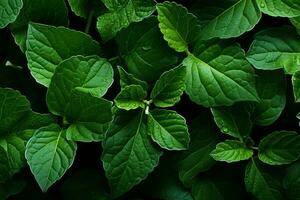 hermosa naturaleza fondo, detallado hoja textura en verdor parte superior ver ai generado foto