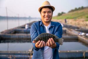 Aquaculture farmer hold quality tilapia yields in hand, guaranteeing integrity in organic bio-aquaculture. Fish is a high-quality protein food source. Commercial aquaculture in the Mekong River. photo