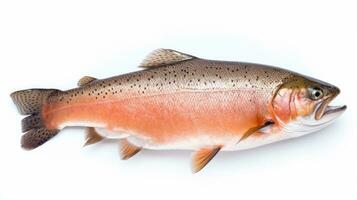 A Salmon fish isolated on white background. Salmon fish. Generative Ai photo