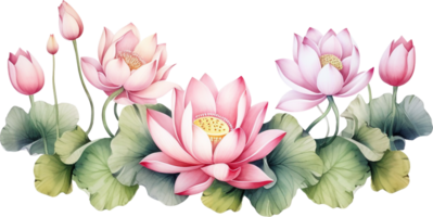 Watercolor lotus clipart for graphic resources. Water lily composition png