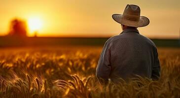 Rear View of a Seasoned Farmer Assessing the Crop in the Evening Light. Generative AI photo