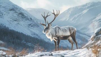 A reindeer  in winter on a background of the mountains. Generative Ai photo